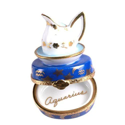 Aquarius Zodiac