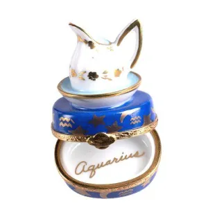 Aquarius Zodiac