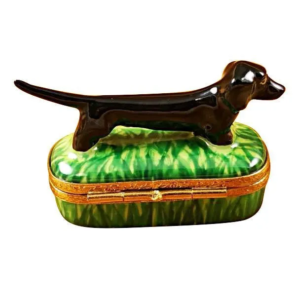 Black Dachshund
