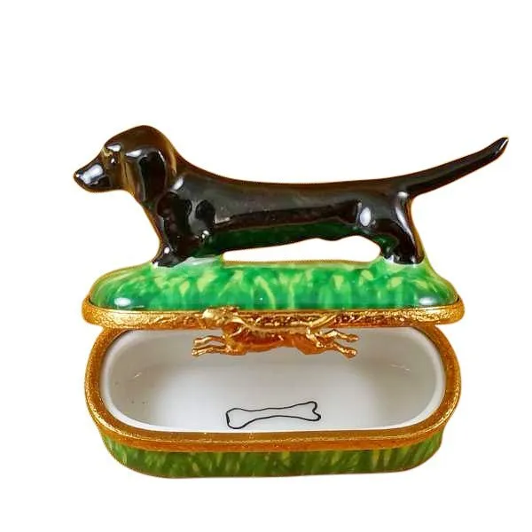 Black Dachshund