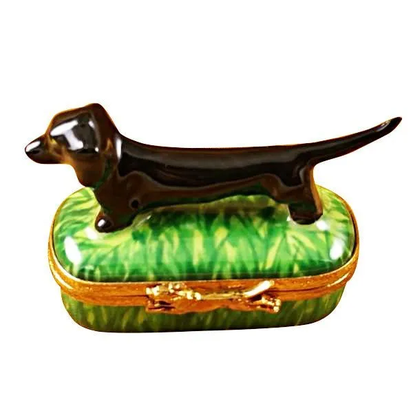 Black Dachshund