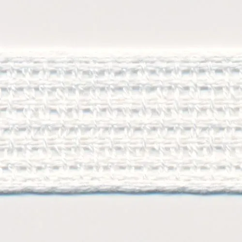 Cotton Mesh Ribbon #00 Ecru