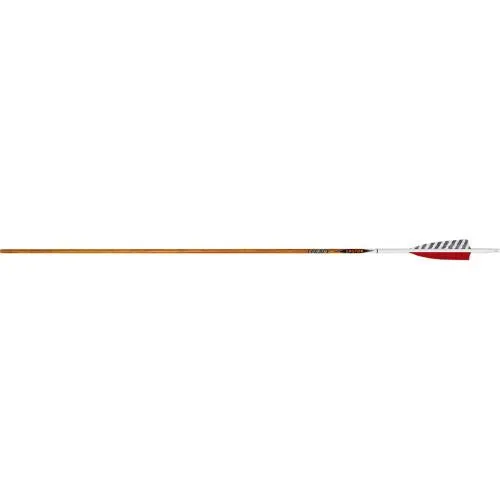 EASTON CARBON LEGACY ARROWS 600 4 IN. FEATHERS 6 PK.