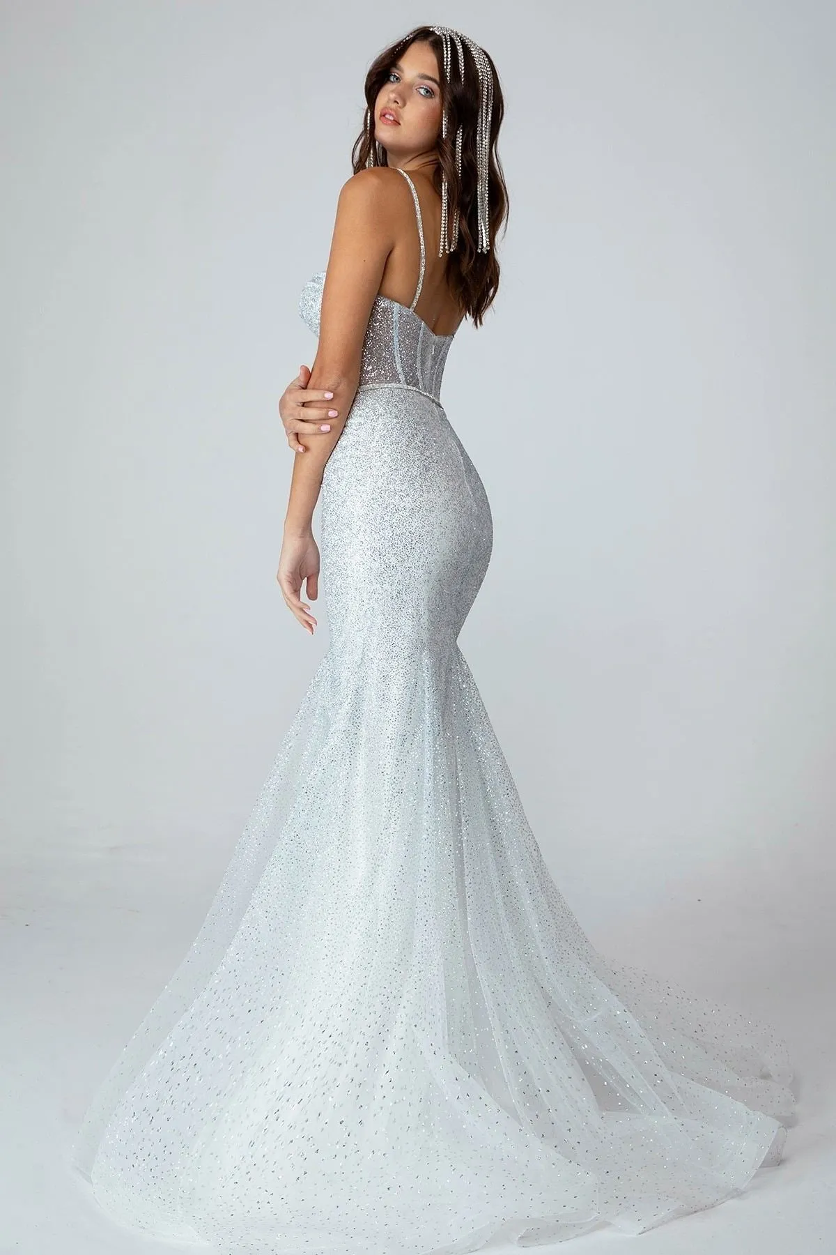 Eureka 9911 Mermaid Glitter Mesh Gown Boned Bodice