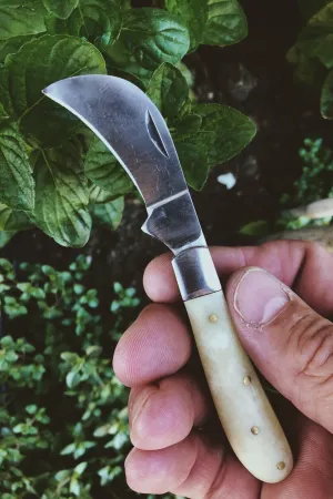 Evangeline's Vintage Foraging/Pruning Knife