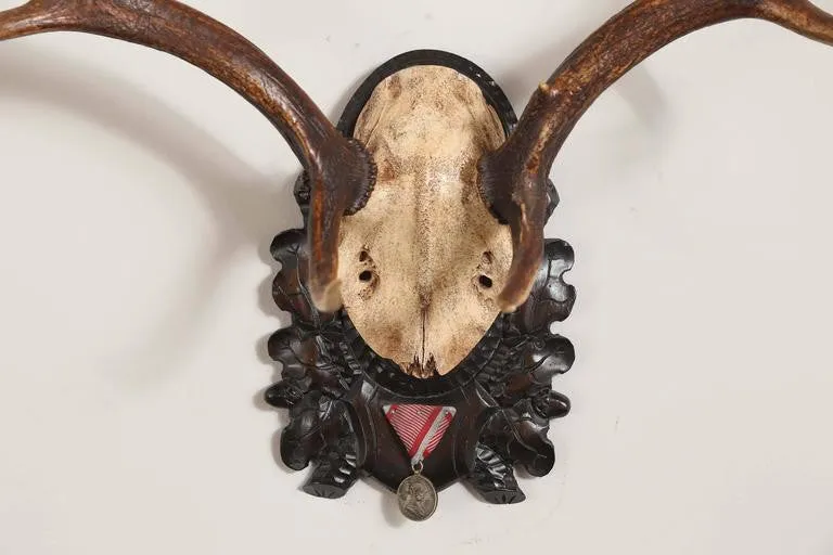 Habsburg Fallow Deer Trophy on Black Forest Plaque with Veteran's Medal