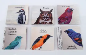 Little Box of Birds by Julie Shaw Lutts