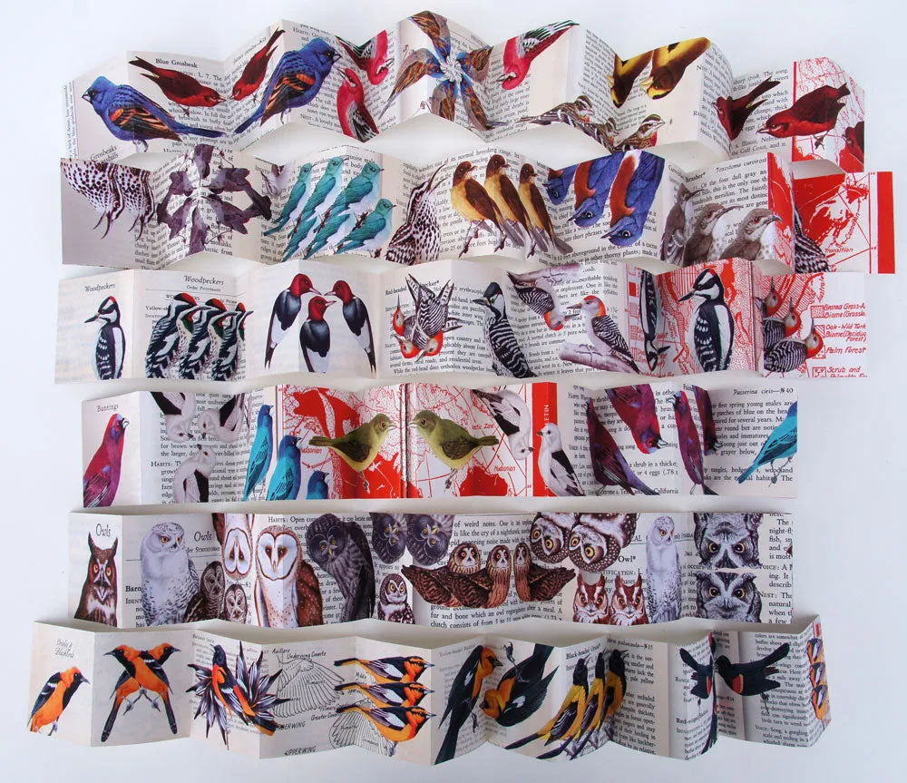 Little Box of Birds by Julie Shaw Lutts