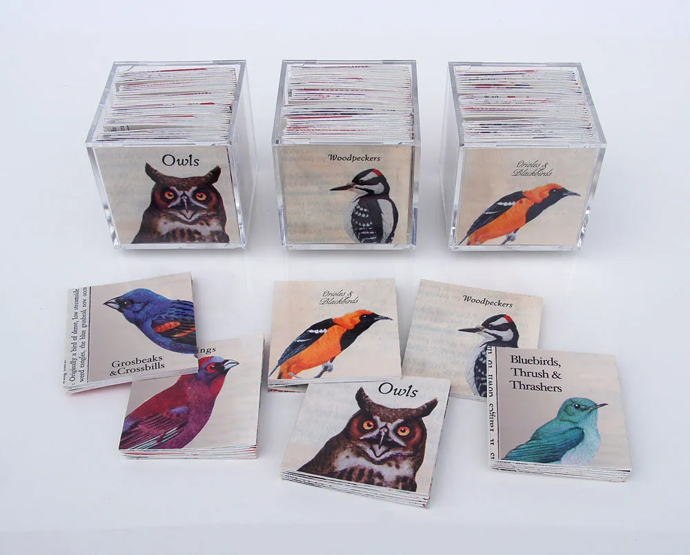Little Box of Birds by Julie Shaw Lutts