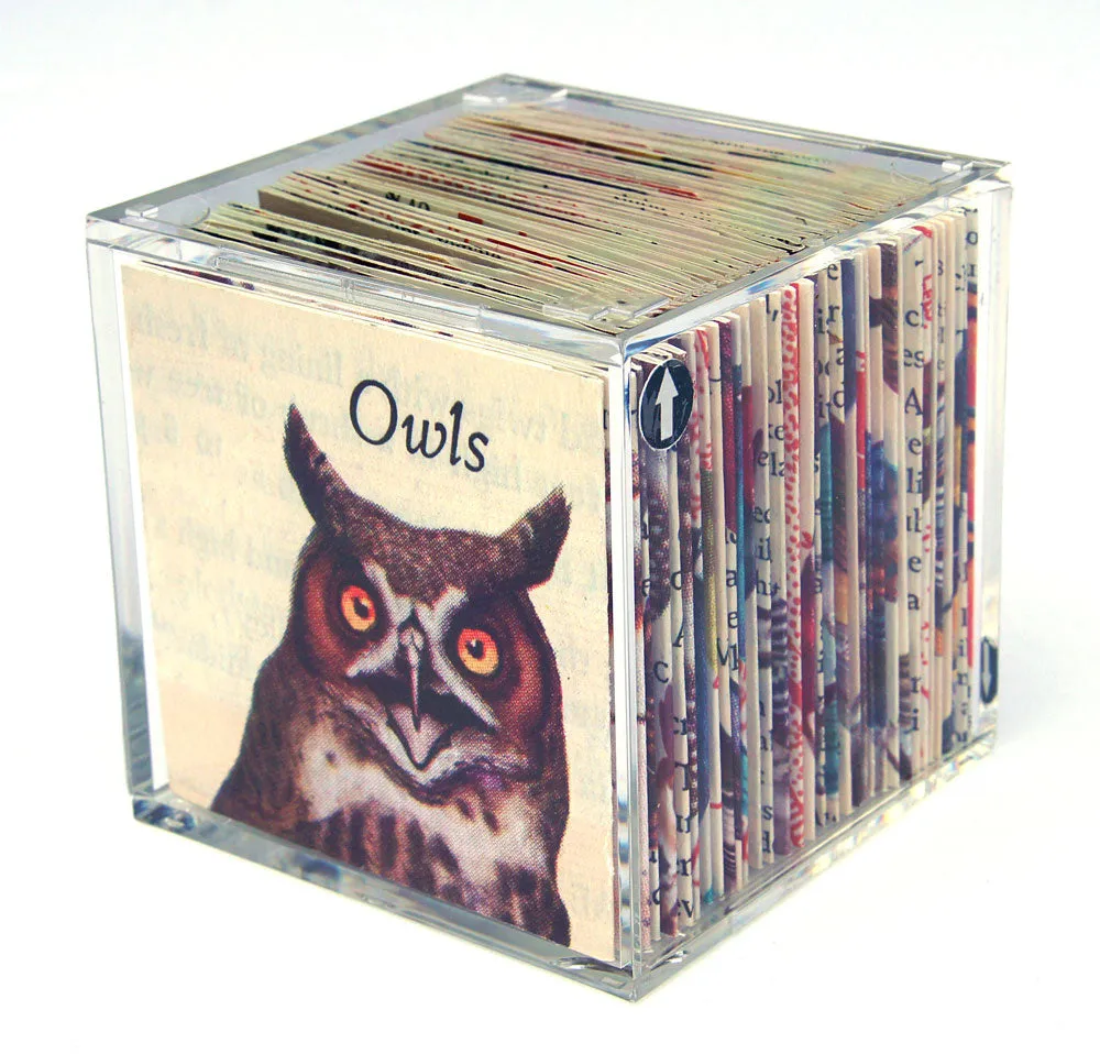 Little Box of Birds by Julie Shaw Lutts
