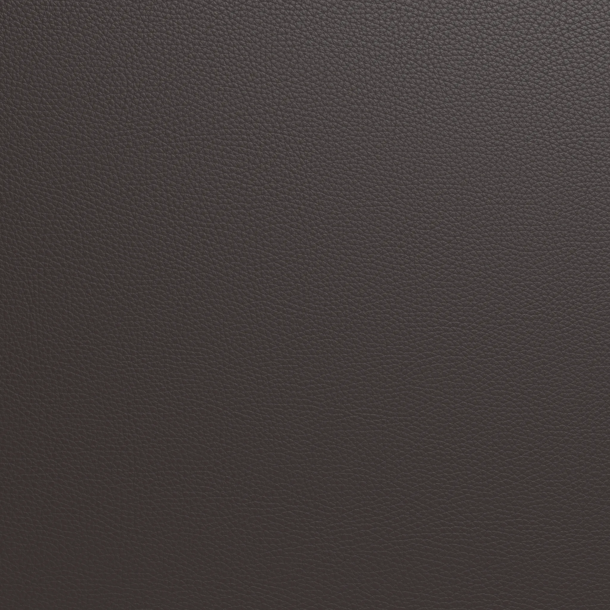 Mesa Leather Raf Chair