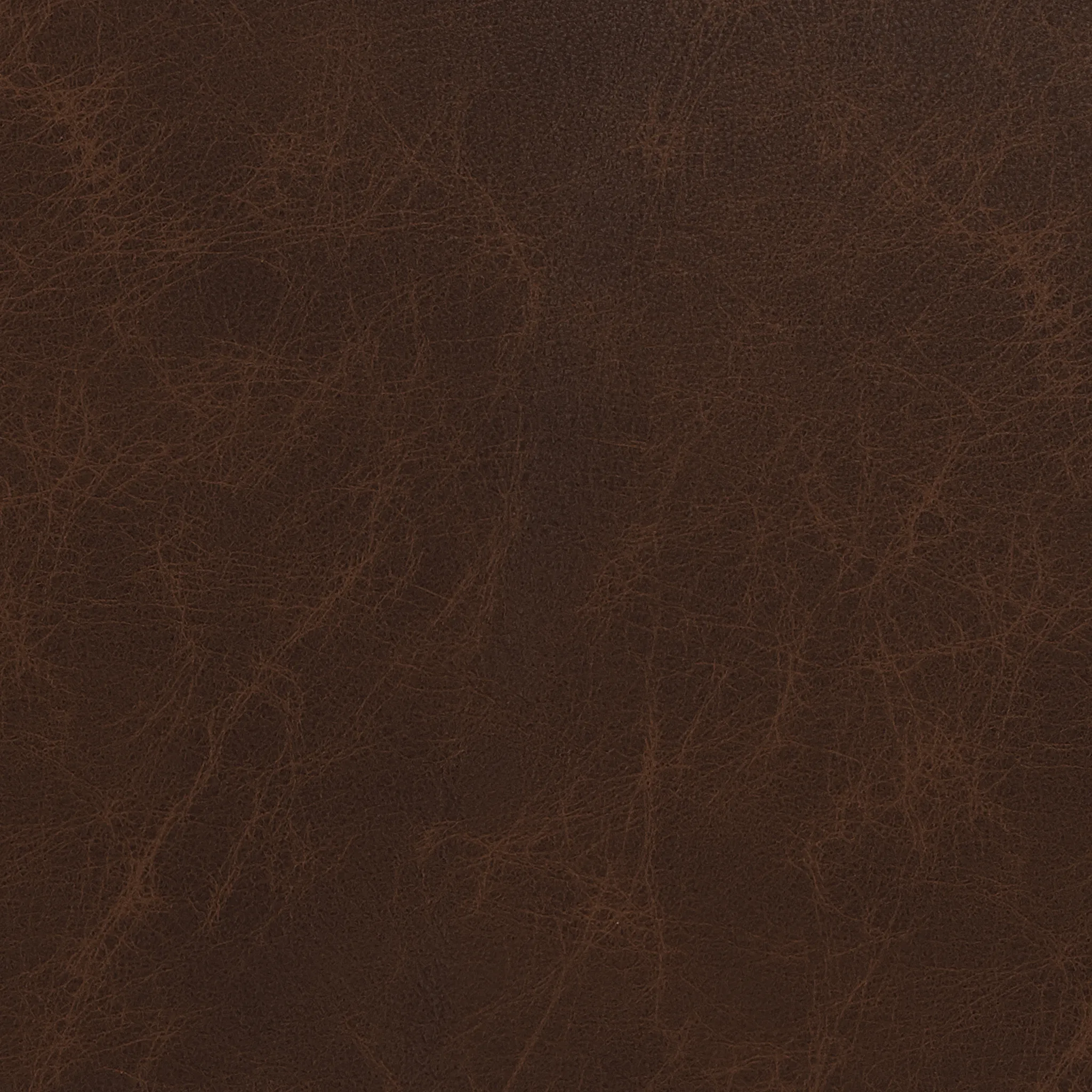 Mesa Leather Raf Chair