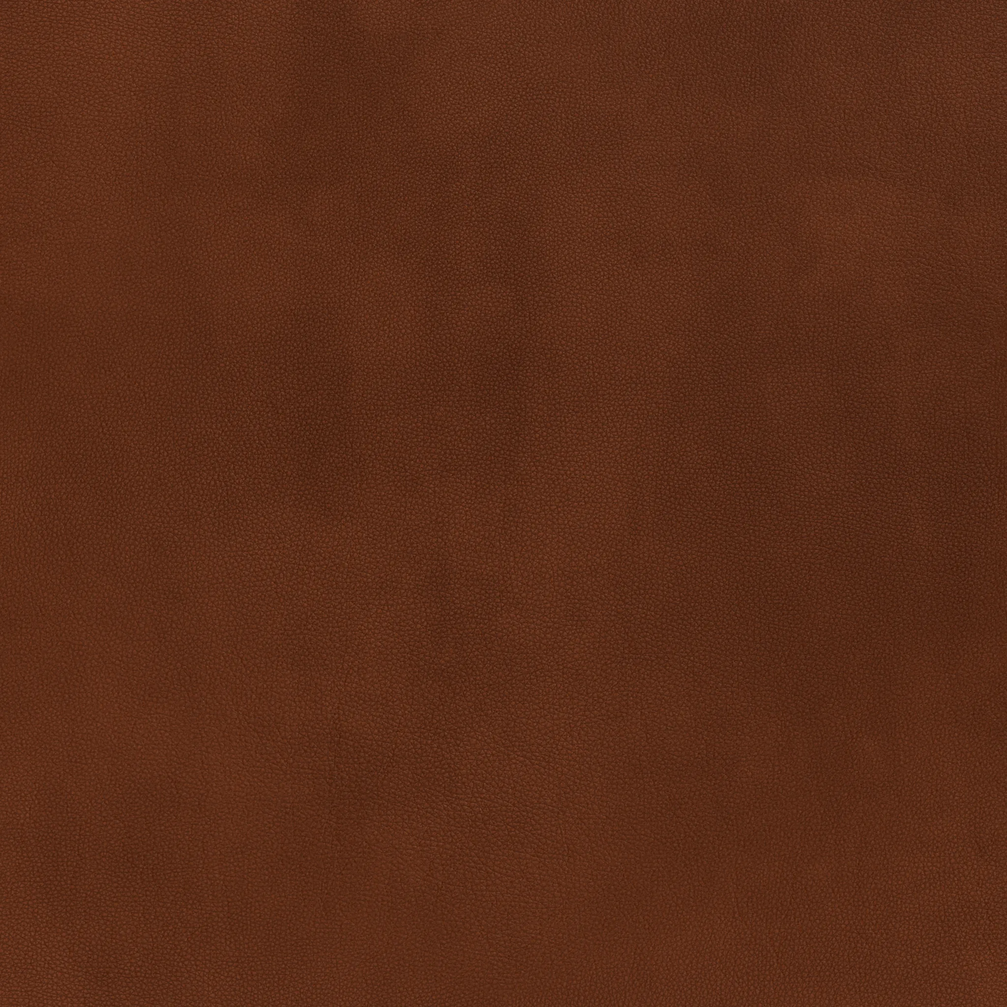 Mesa Leather Raf Chair