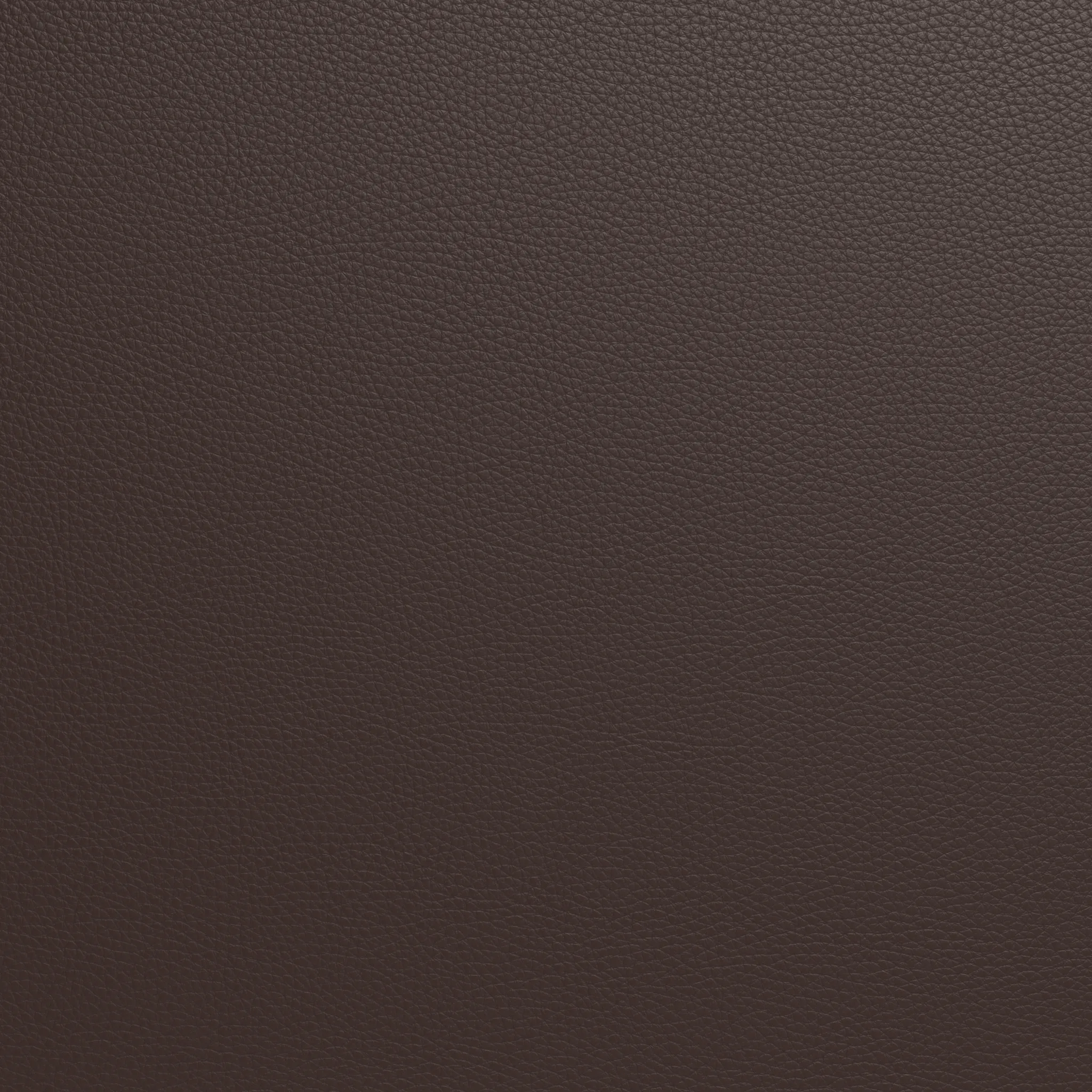 Mesa Leather Raf Chair