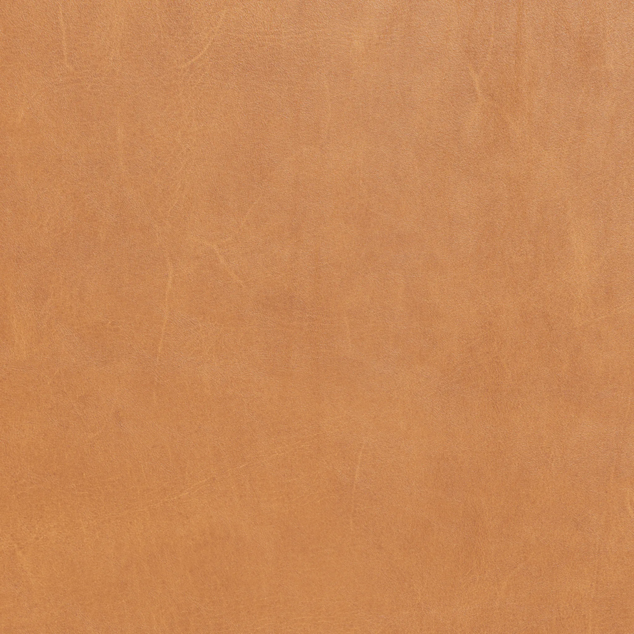 Mesa Leather Raf Chair