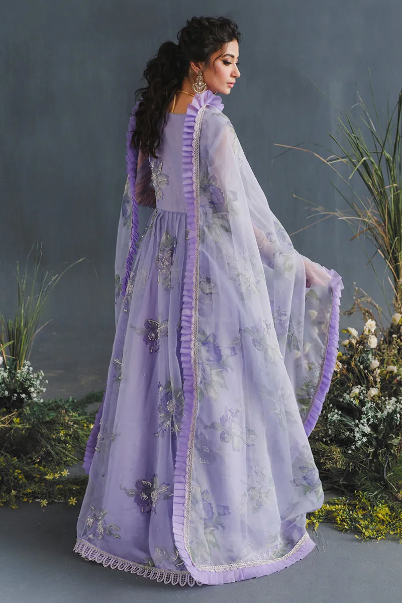 MUSHQ | LUXURY PRET PRINTED ORGANZA'23 | AURORA