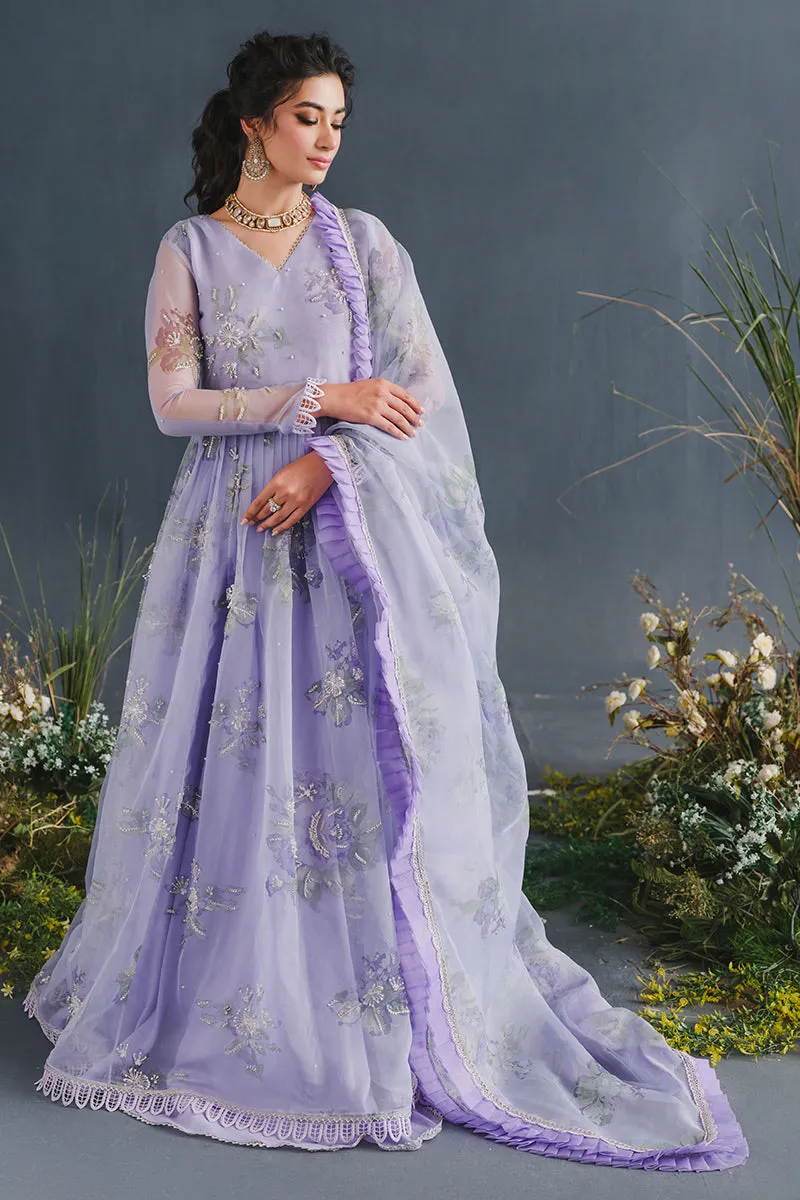 MUSHQ | LUXURY PRET PRINTED ORGANZA'23 | AURORA