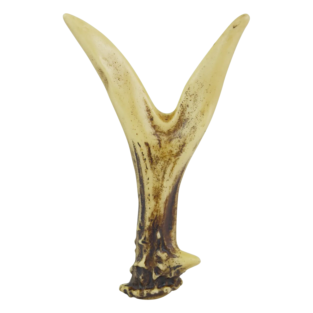 Personalized Name Art 6" Antler Letter, Number, and Symbol Home Decor