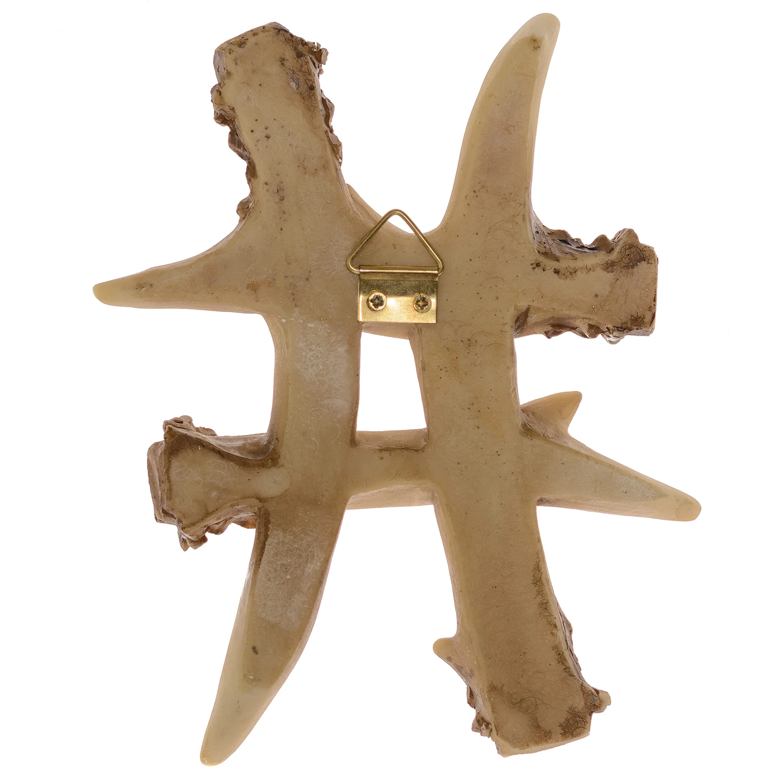Pine Ridge Personalized Name Art 6" Antler Letter Home Decor - 3D Decorative Hanging Wall Letters Deer Antler Monogram Design - Unique Gift Ideas (Sign #)