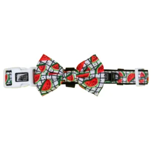 "A Slice of a Summer" Collar & Bowtie