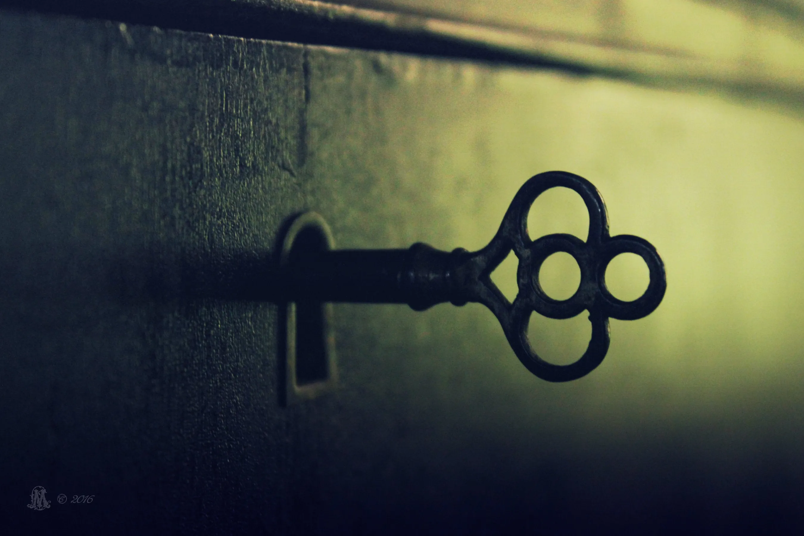 "Lock and Key". Original Artwork Photography Print.