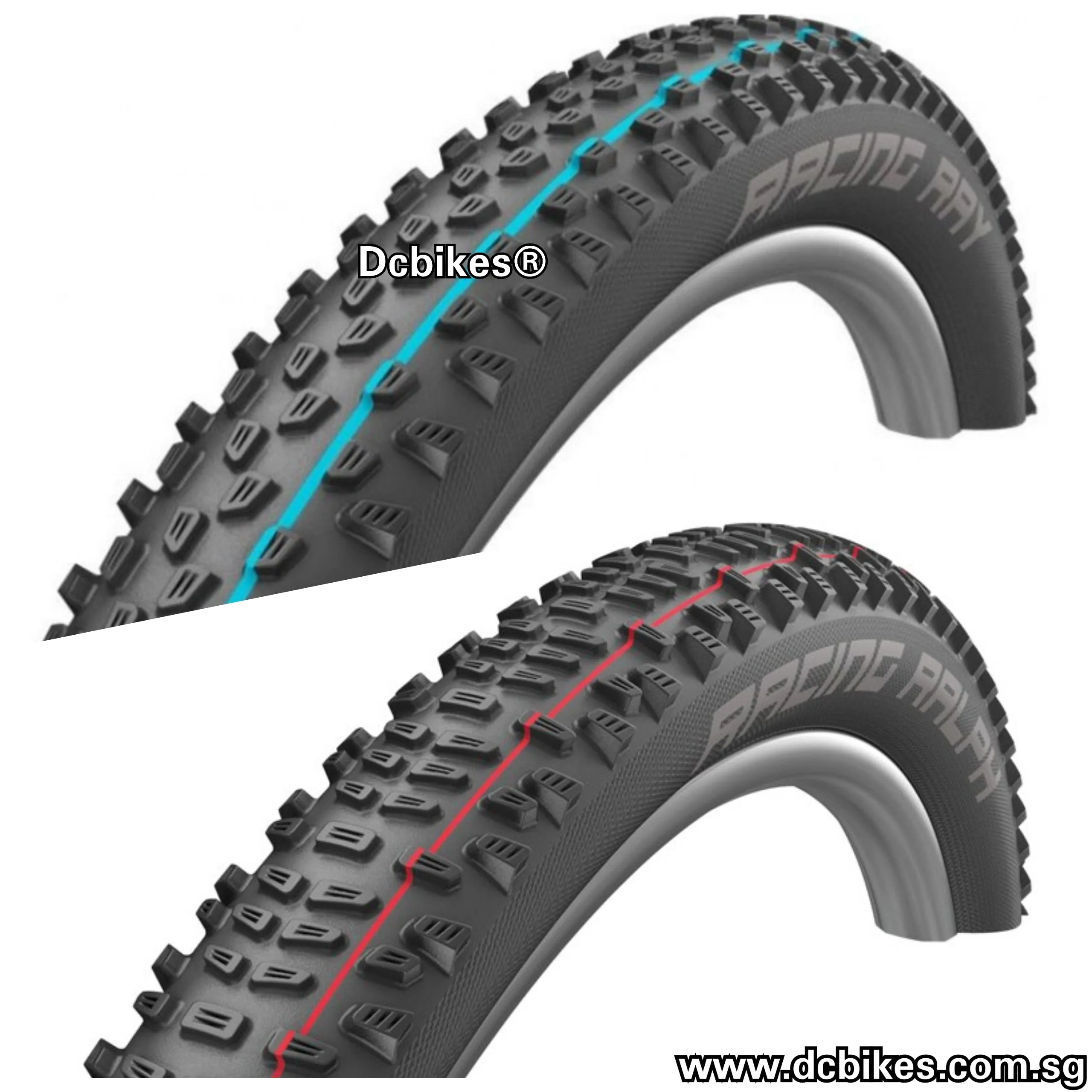 Schwalbe 29 X 2.1 Racing Ralph | Racing Ray SnakeSkin Evo ADDIX Speed Tubeless MTB Folding Tyres (1 Tire)