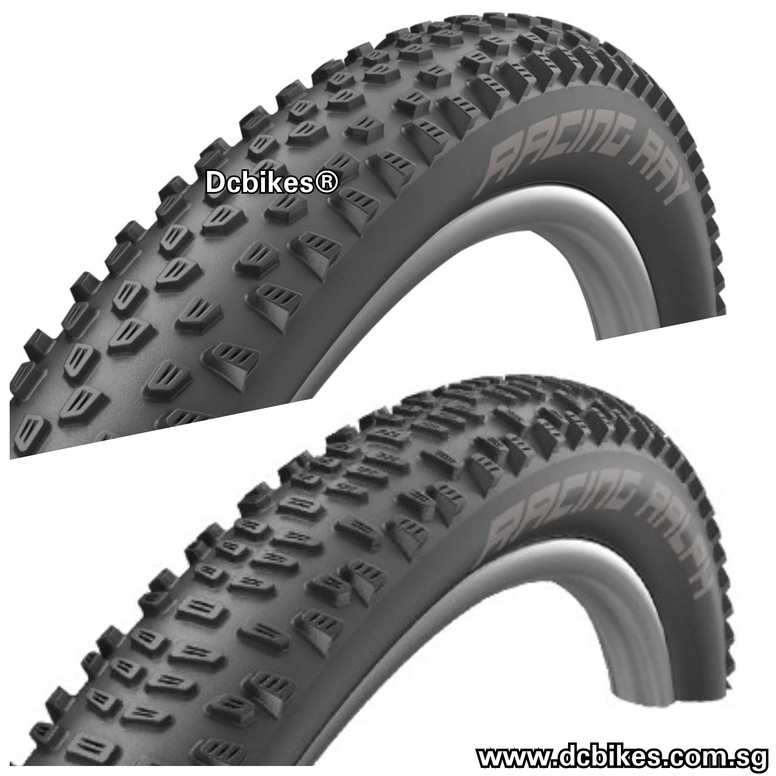 Schwalbe 29 X 2.25 Racing Ralph | Ray Addix Tubeless Ready MTB Folding Tyre (1 Tyre)