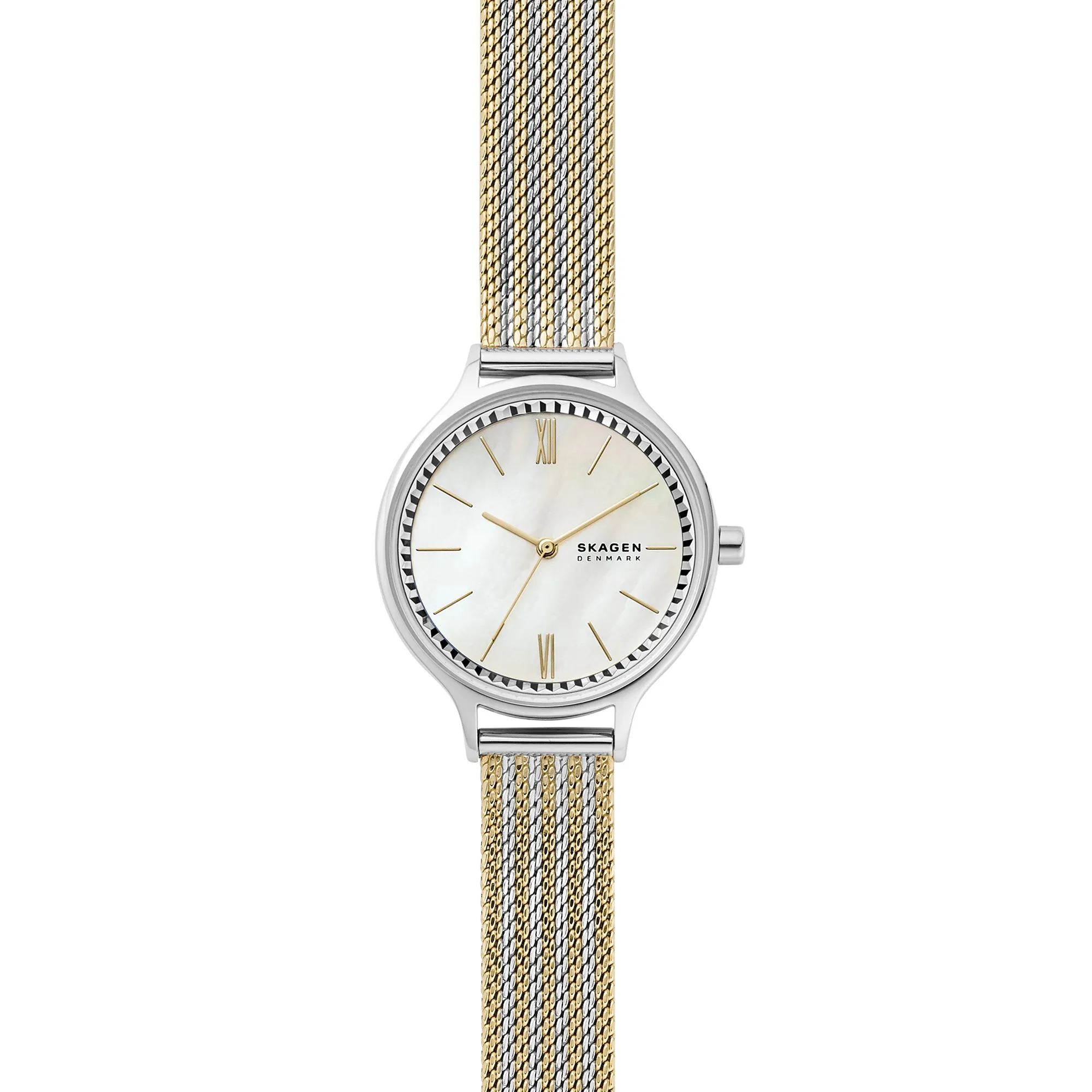 SKAGEN Women's Anita Fashion Quartz Watch