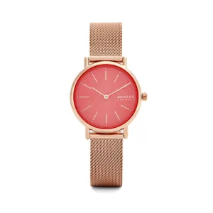 SKAGEN Women's Signatur Fashion Quartz Watch