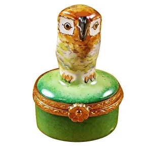 Small Owl on Green Box