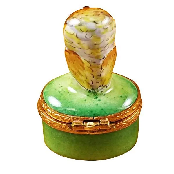 Small Owl on Green Box