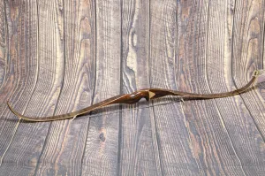Vintage Browning Safari Bow 65#